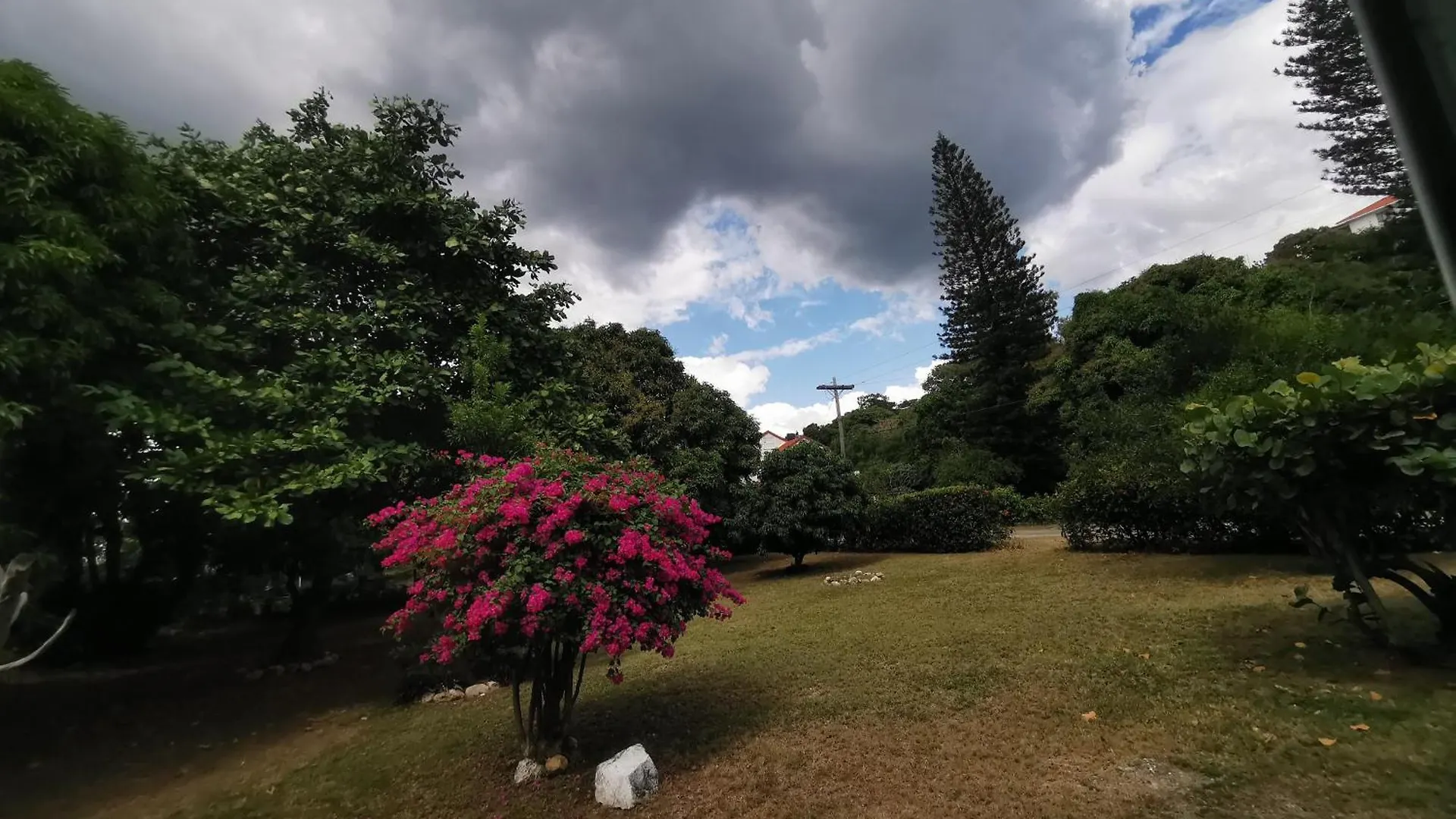 公寓 Sammy'S Place 金斯敦